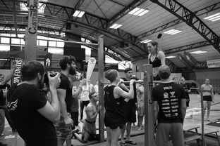 米兰体育足球-“水上芭蕾与游泳较量：2025世界游泳锦标赛掀起观赛热潮”  第2张